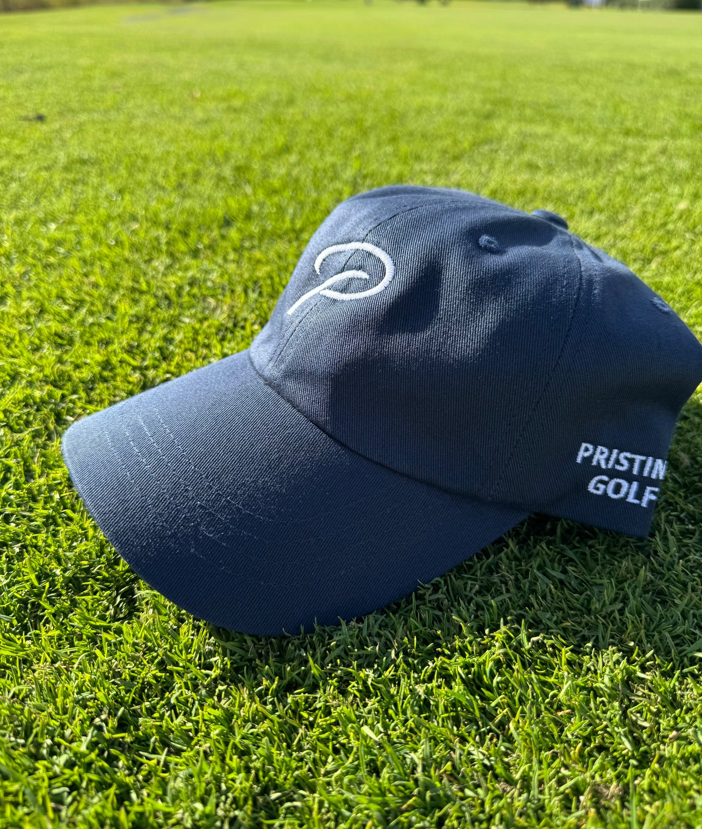 P Dad Hat