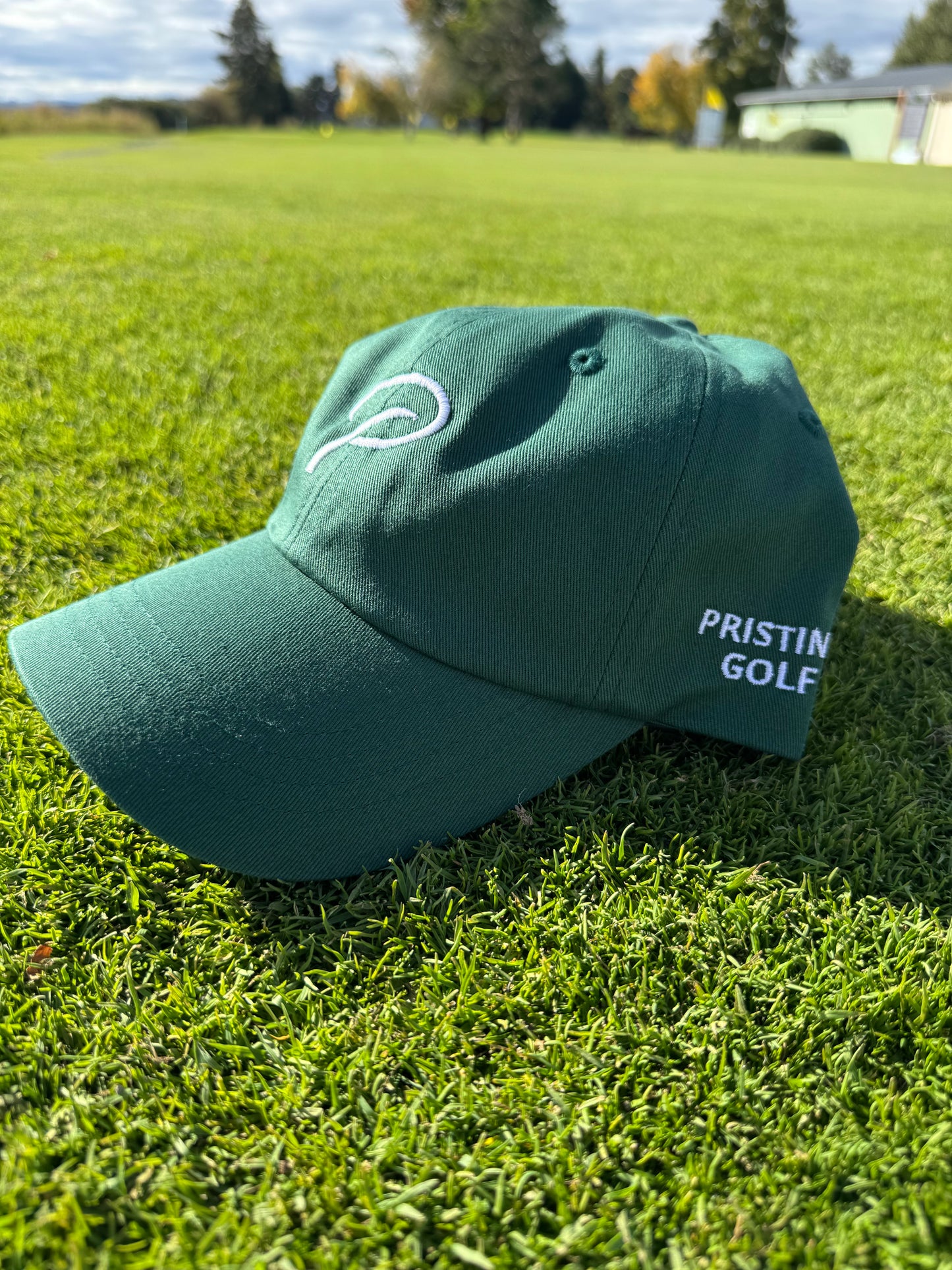 P Dad Hat